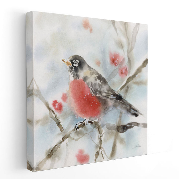 Winter Robin - Canvas Print Wall Art