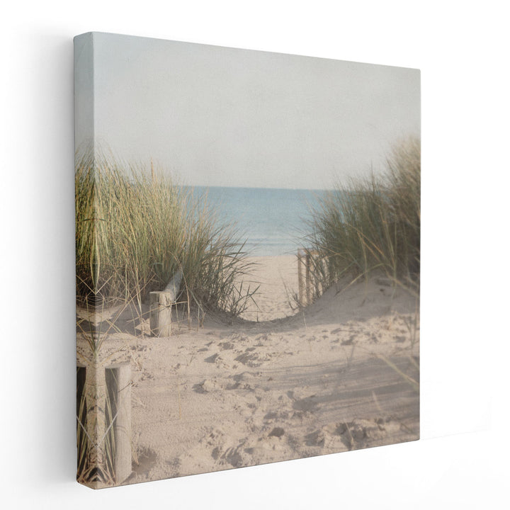 Beach Grasses - Canvas Print Wall Art