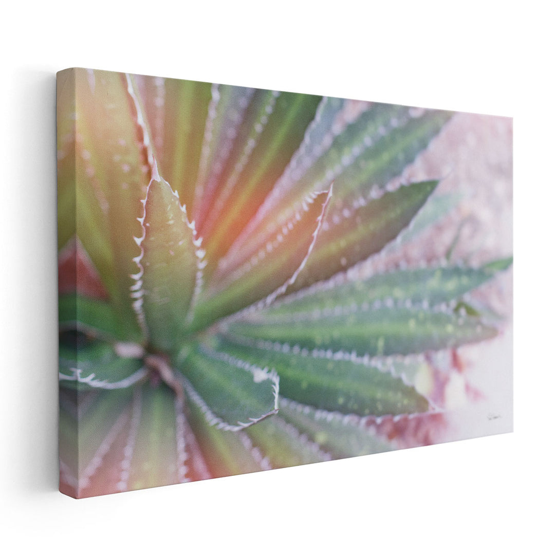 Dream Desert I - Canvas Print Wall Art