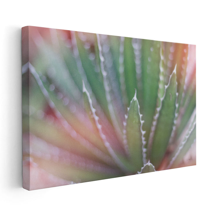 Dream Desert II - Canvas Print Wall Art