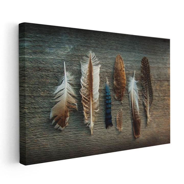 Feather Collection I - Canvas Print Wall Art