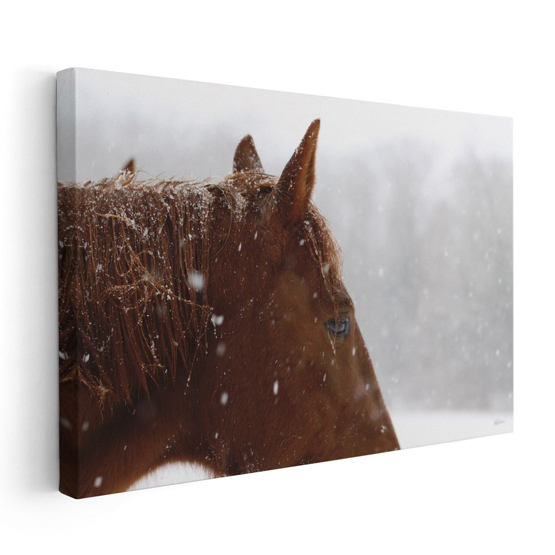 Snowy Caleb - Canvas Print Wall Art