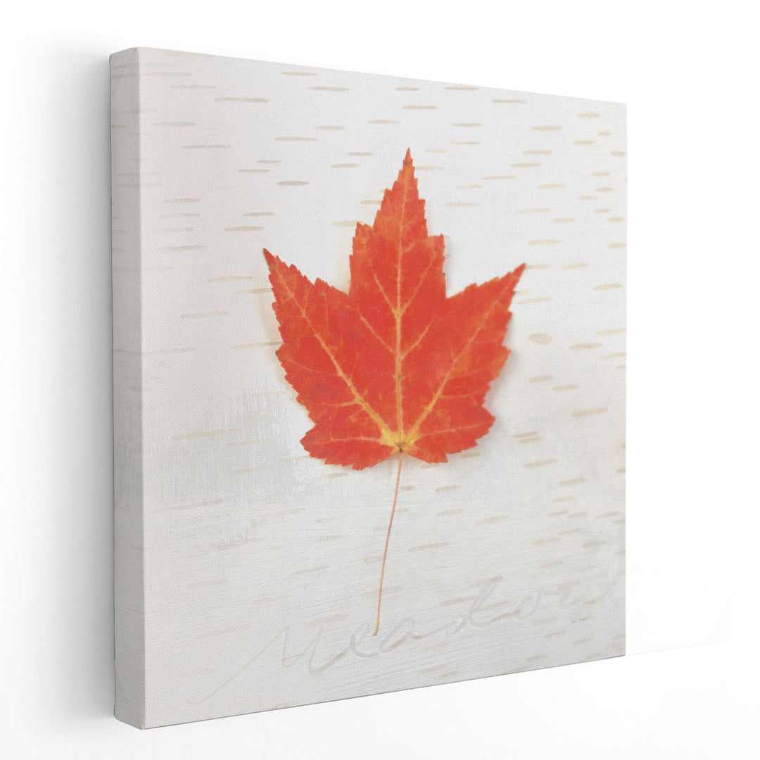 Autumn Colors I - Canvas Print Wall Art