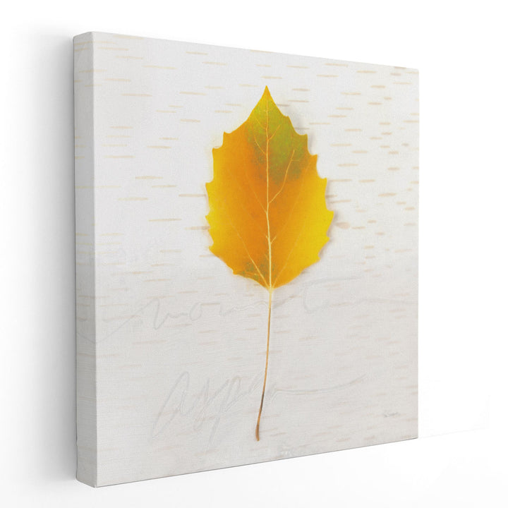 Autumn Colors III - Canvas Print Wall Art