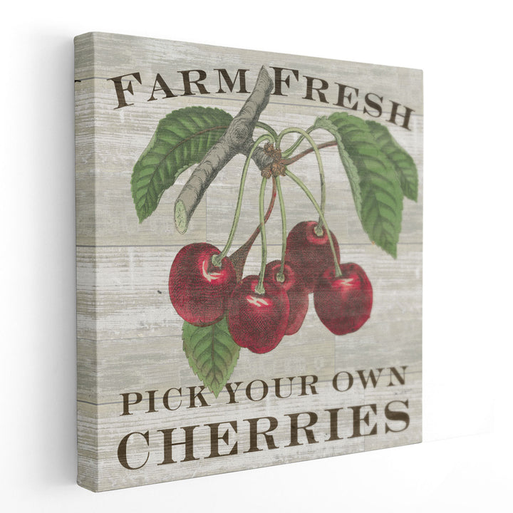 Farm Fresh Cherries - Canvas Print Wall Art