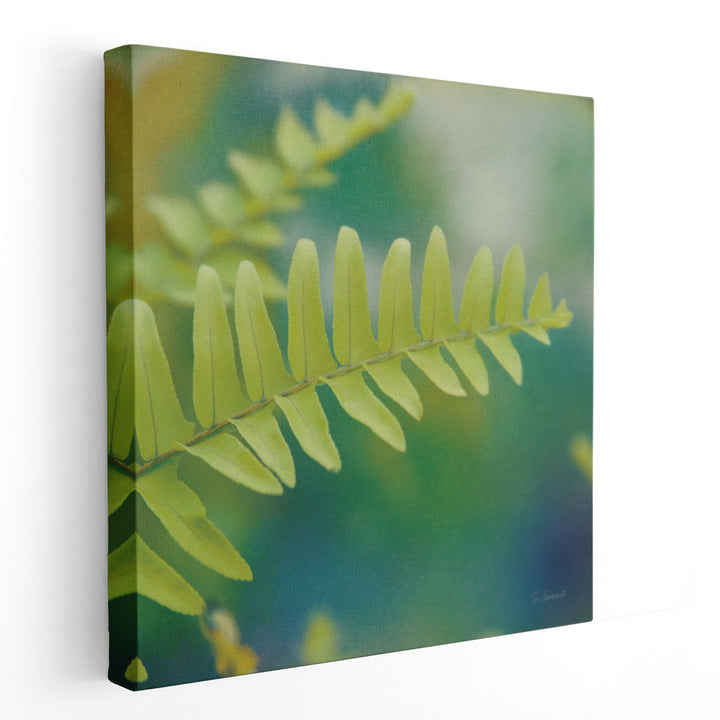 Natures Ferns I - Canvas Print Wall Art