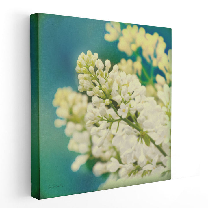 Natures Lilac Blossom - Canvas Print Wall Art