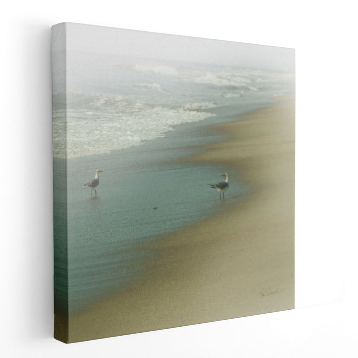 Seabirds - Canvas Print Wall Art