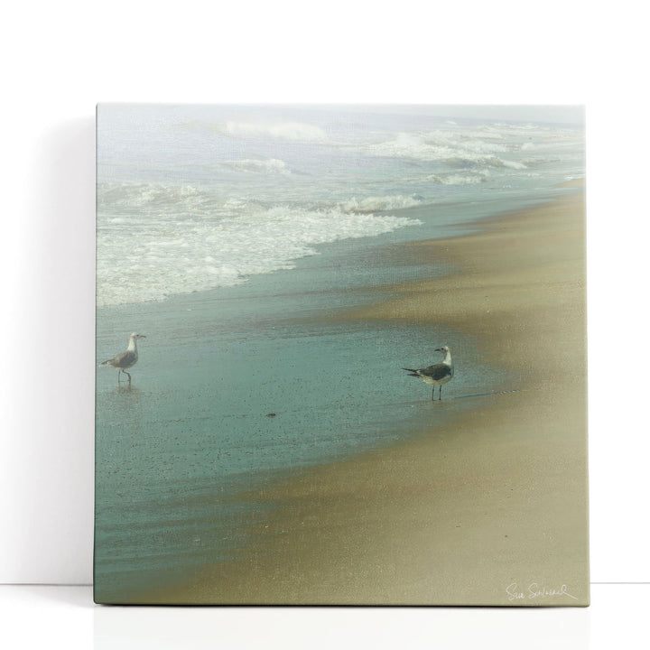 Seabirds - Canvas Print Wall Art