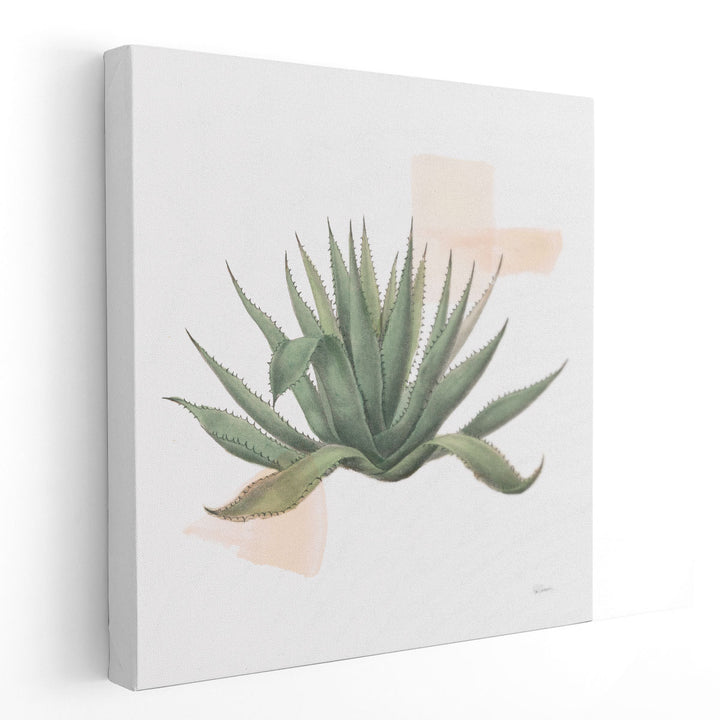 Desert Color Succulent I - Canvas Print Wall Art