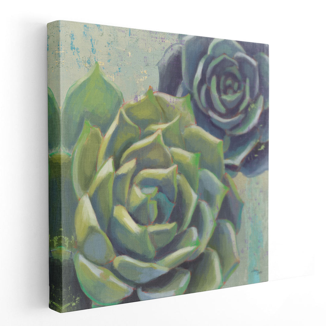 Succulents I - Canvas Print Wall Art