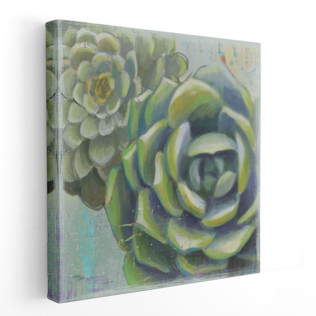 Succulents II - Canvas Print Wall Art