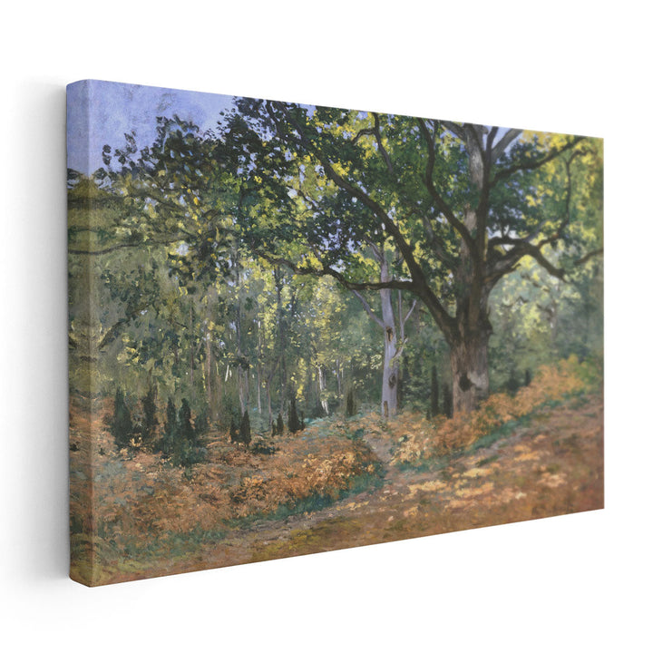 The Bodmer Oak, Fontainebleau Forest, 1865 - Canvas Print Wall Art