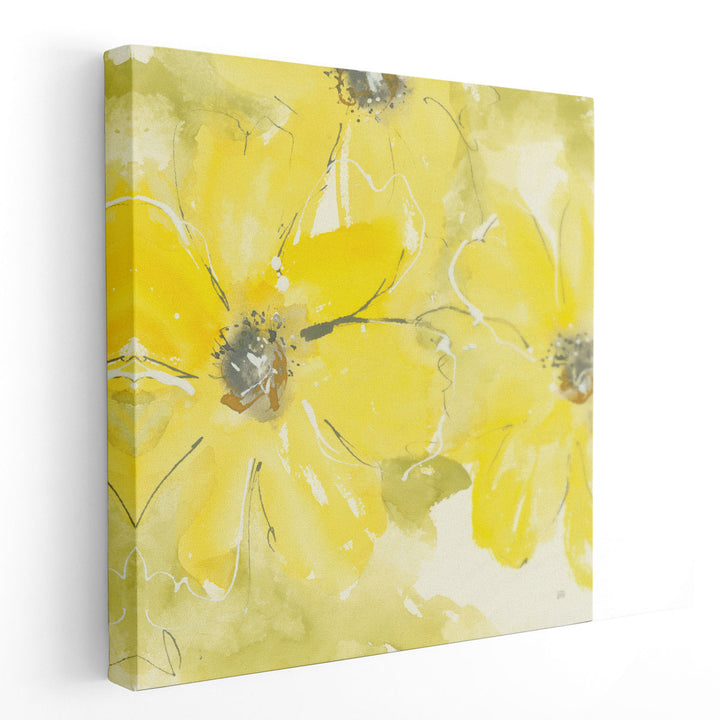 Sunshine Cosmos II - Canvas Print Wall Art