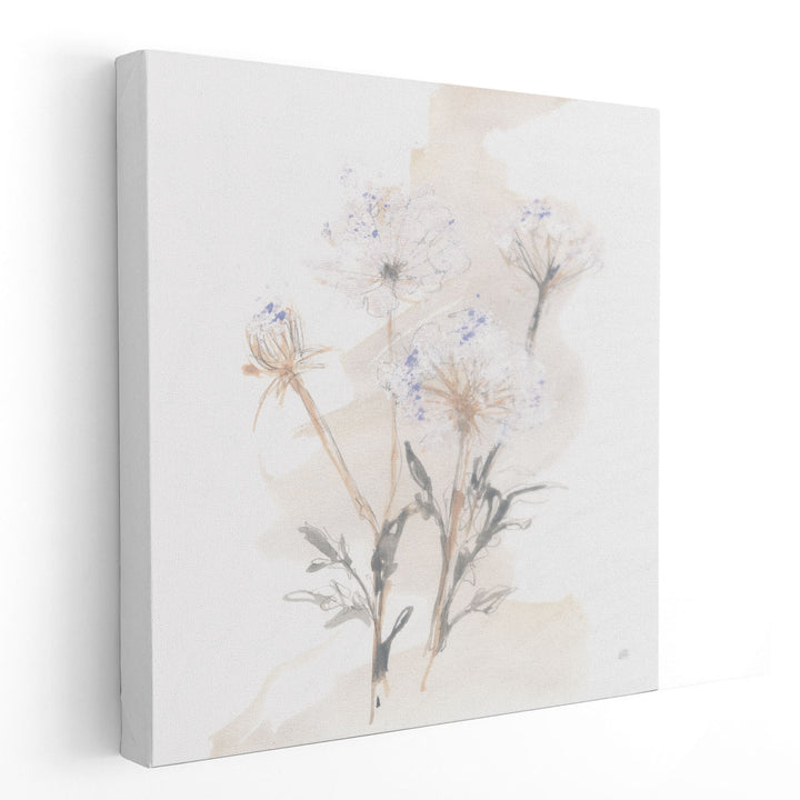 Queen Annes Lace II - Canvas Print Wall Art