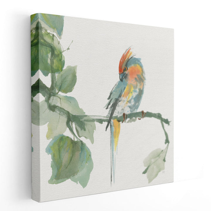 Crested Cockatoo - Canvas Print Wall Art