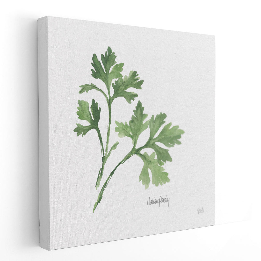 Italian Parsley - Canvas Print Wall Art