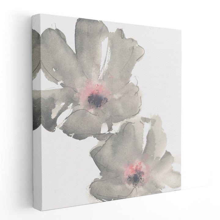 Gray Blush Cosmos I on White - Canvas Print Wall Art