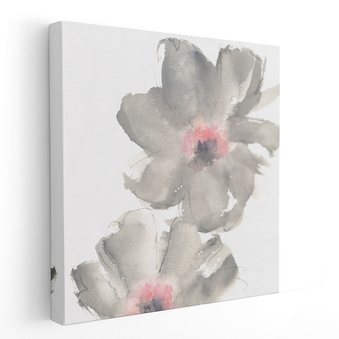 Gray Blush Cosmos II on White - Canvas Print Wall Art