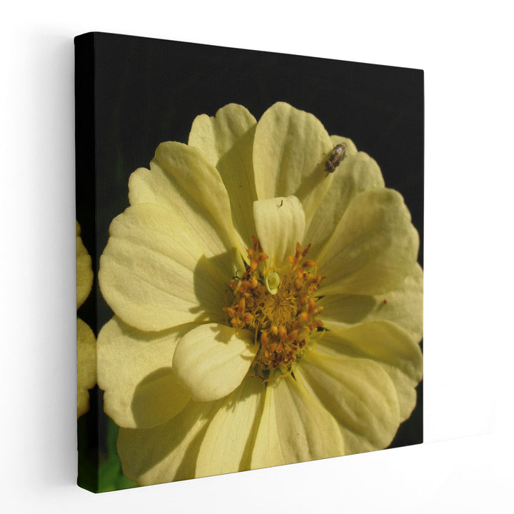 Summer Evening I - Canvas Print Wall Art