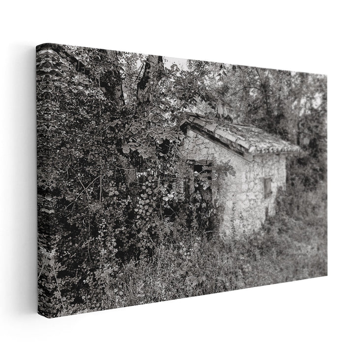 Back To Nature Black And White - Canvas Print Wall Art