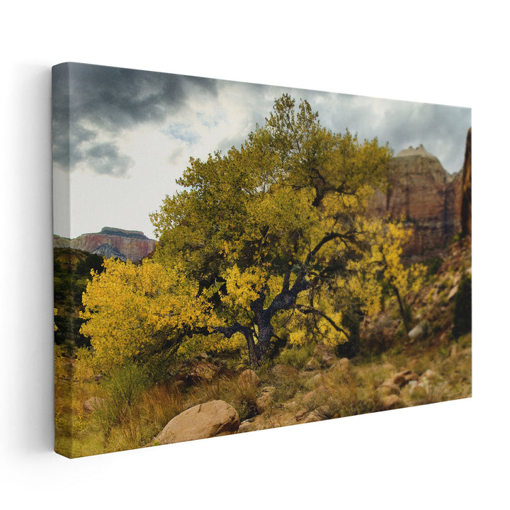 Brilliant View III - Canvas Print Wall Art