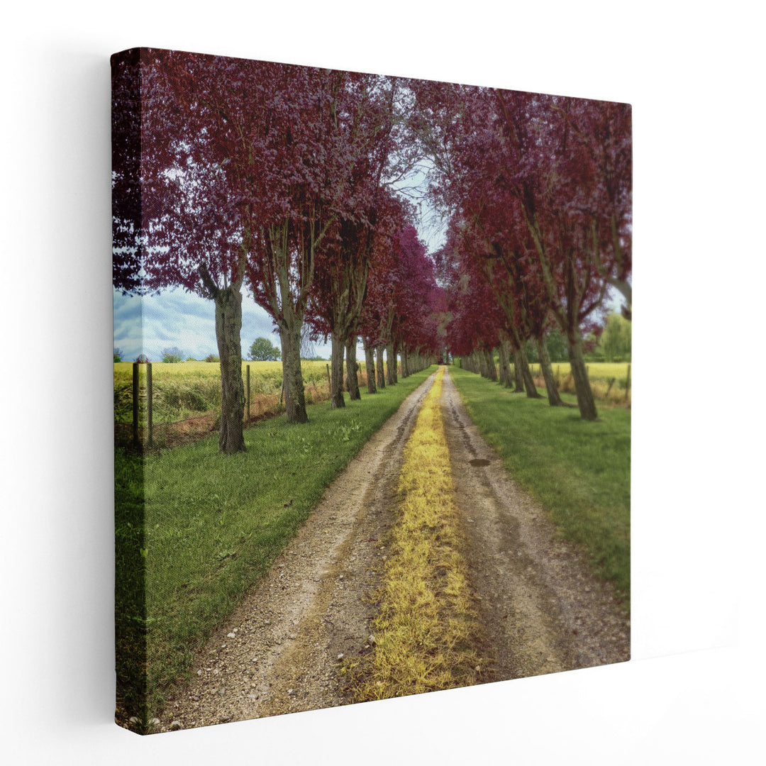 Approach - Canvas Print Wall Art