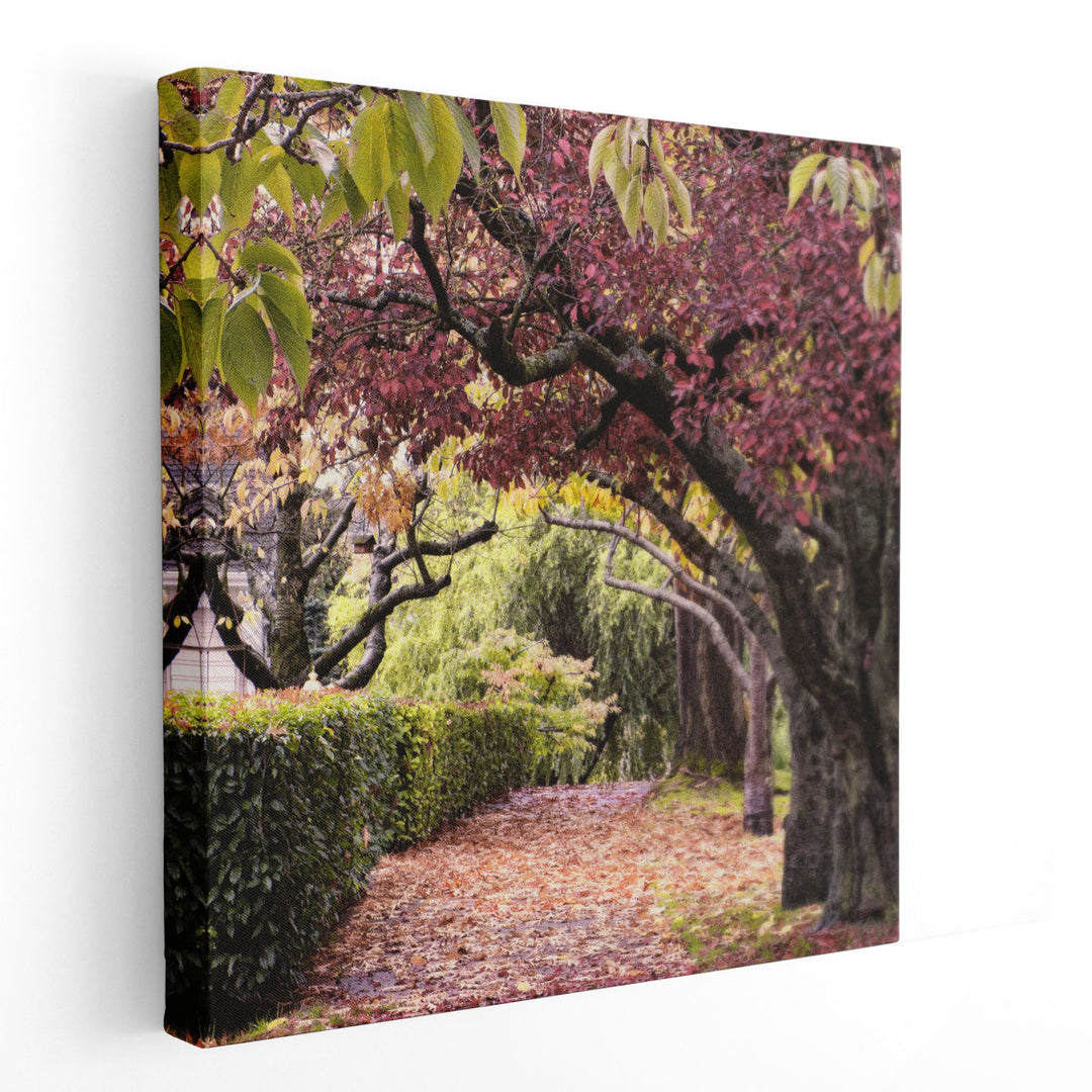 Arch Of Trees - Canvas Print Wall Art