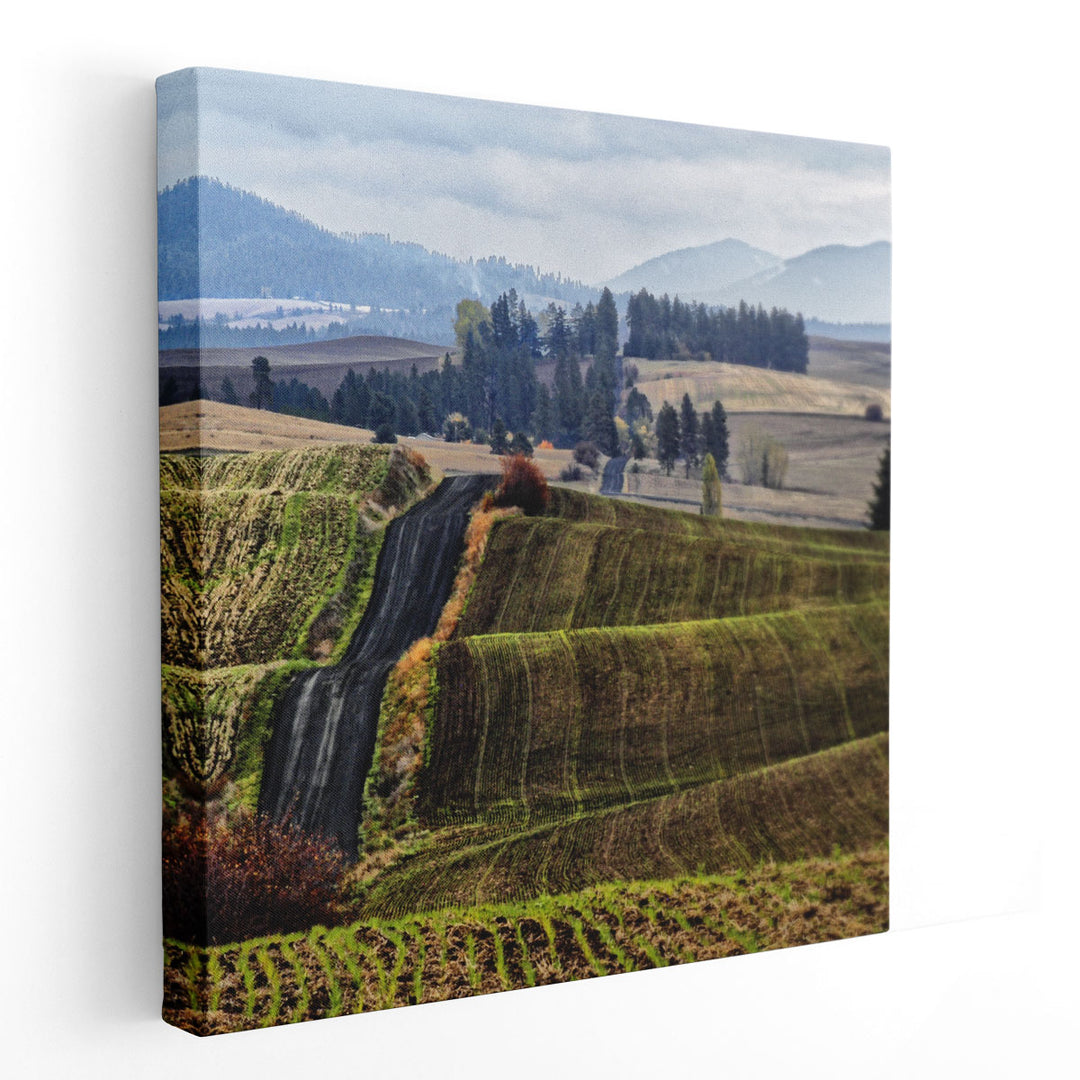 Palouse Hills - Canvas Print Wall Art