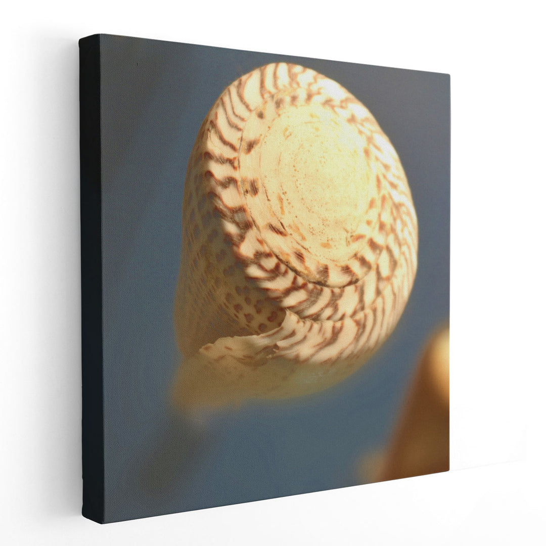 Underwater World 38 - Canvas Print Wall Art