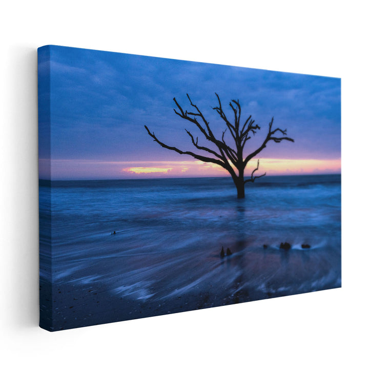 All that Remains - Canvas Print Wall Art