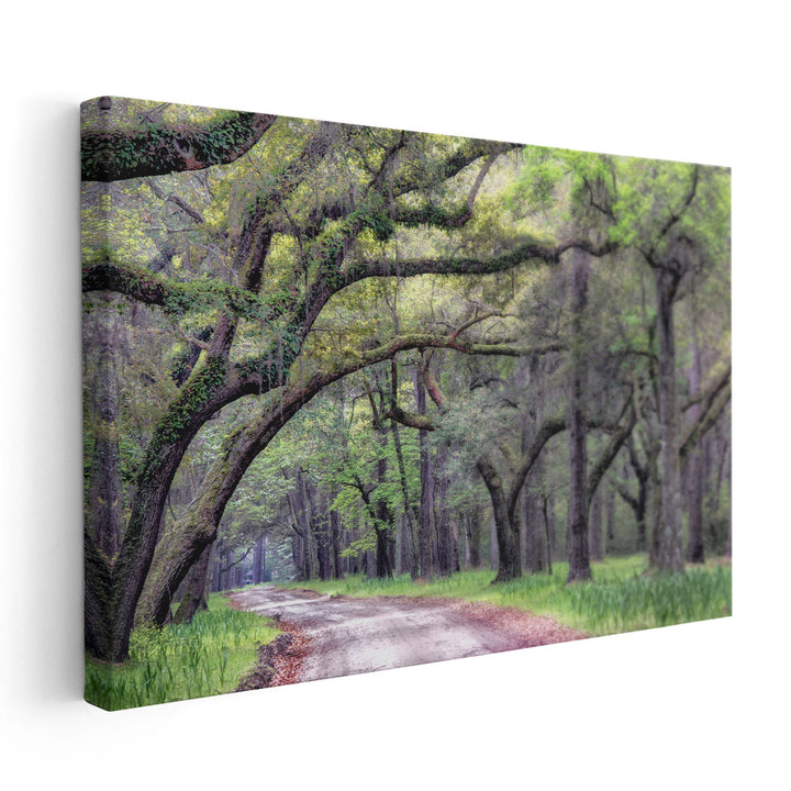 Dirt Road I - Canvas Print Wall Art