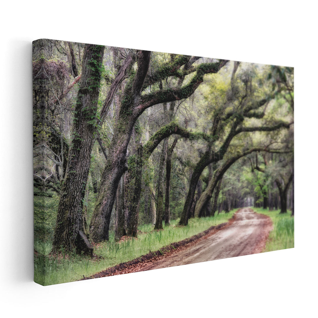 Dirt Road II - Canvas Print Wall Art