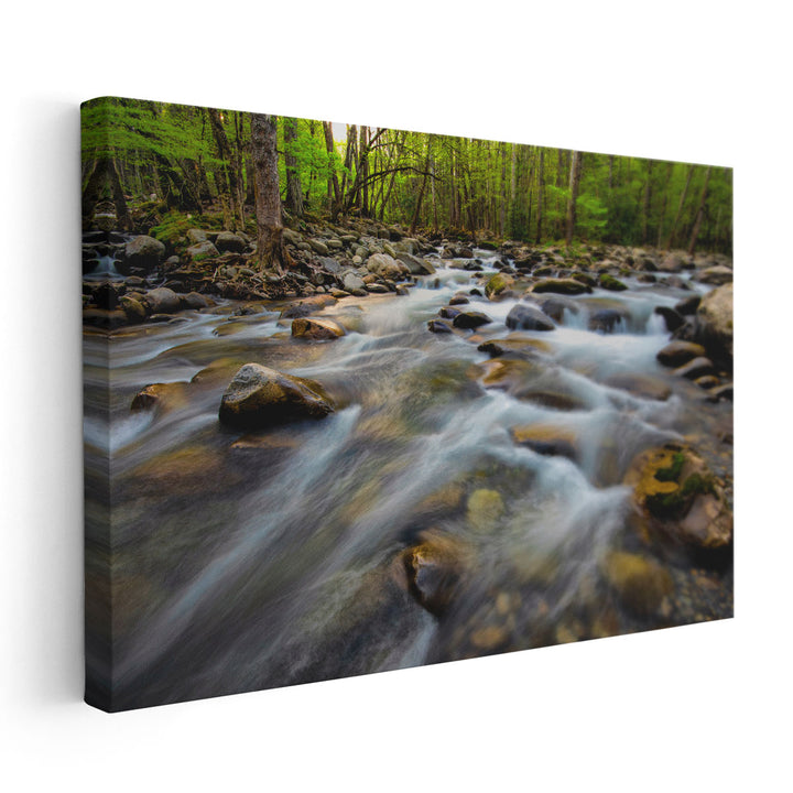 Golden Flow - Canvas Print Wall Art