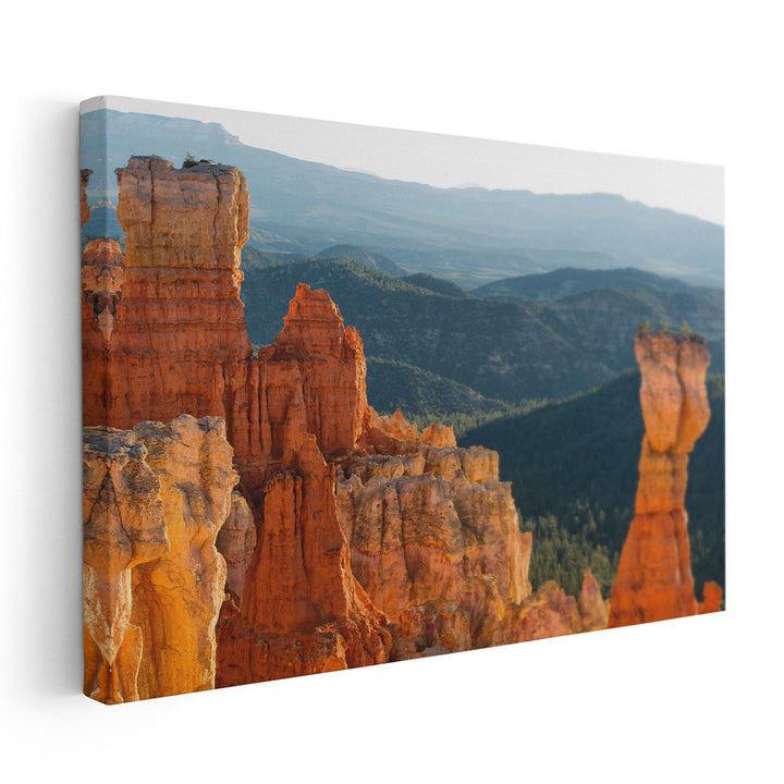 On the Rocks, Utah - Canvas Print Wall Art