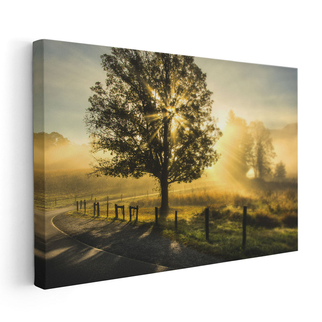 Wake Up Call - Canvas Print Wall Art