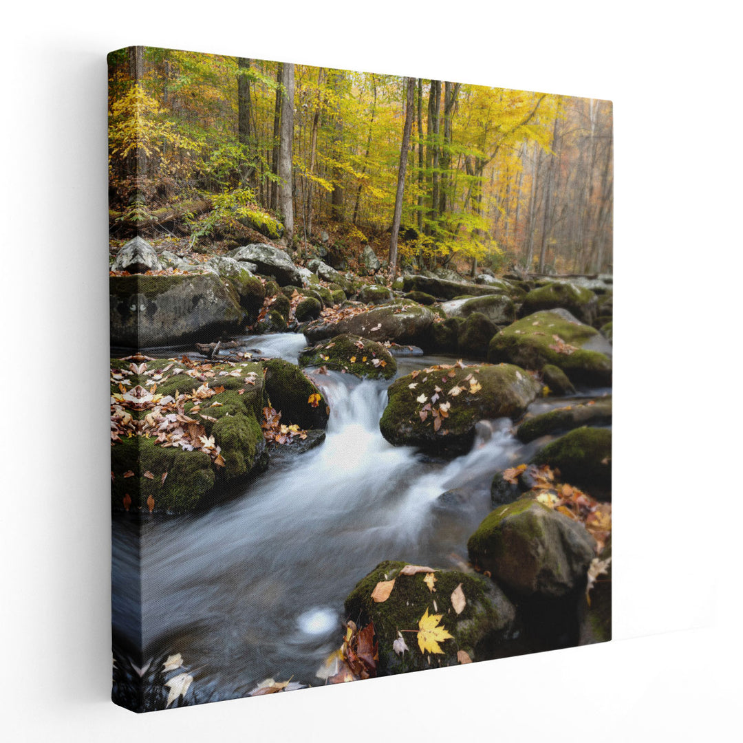 Autumn Rush - Canvas Print Wall Art