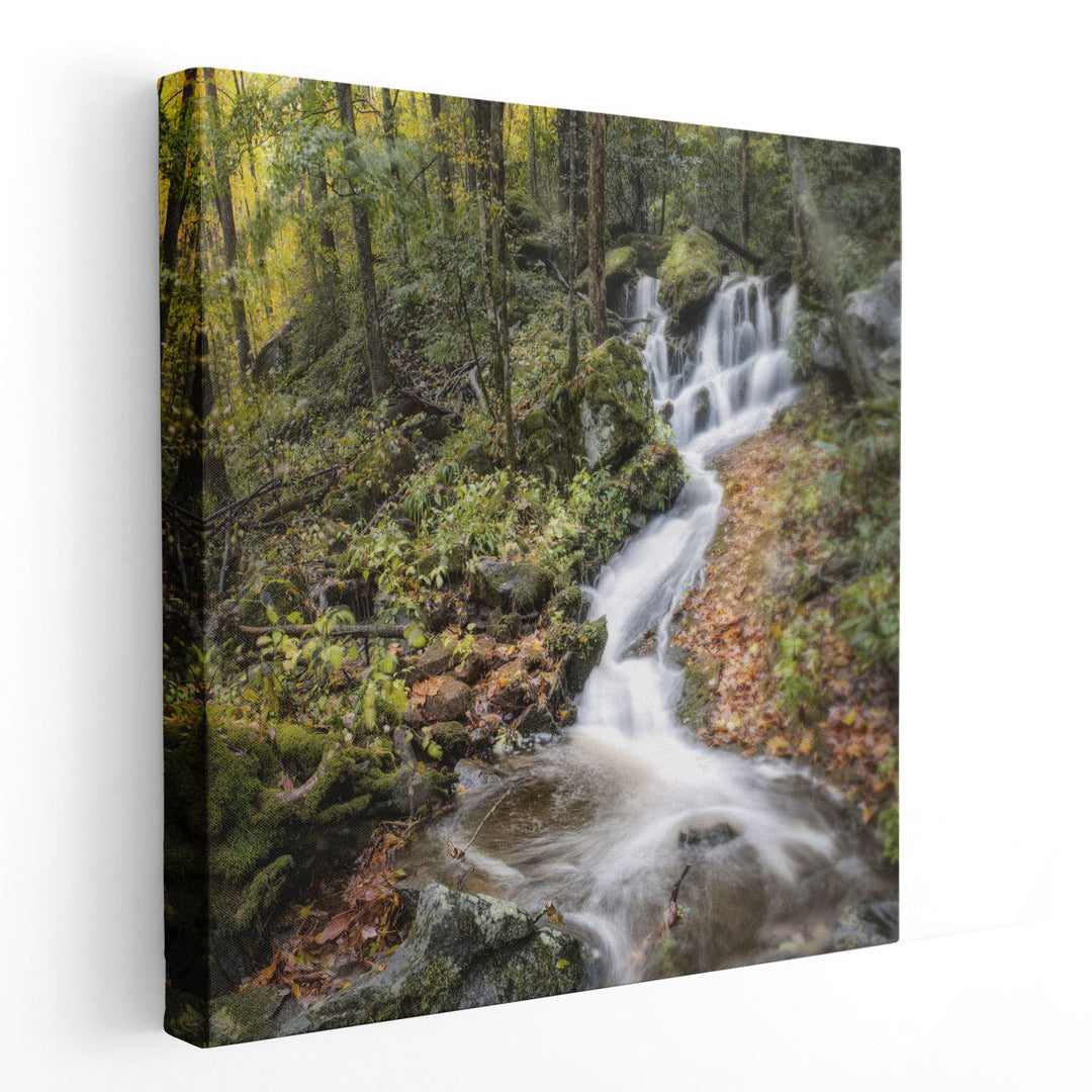 Roadside Falls - Canvas Print Wall Art