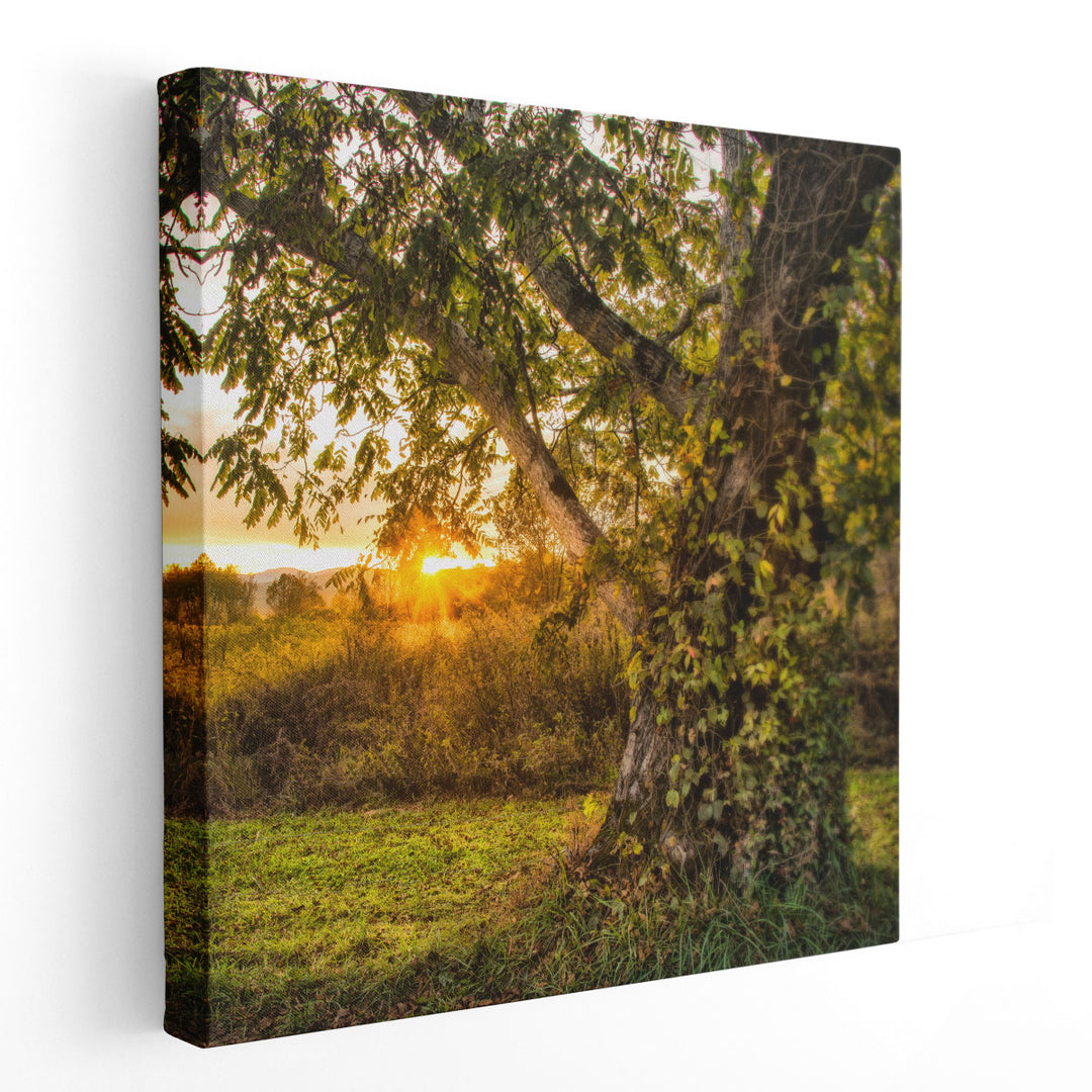 Calling It a Day - Canvas Print Wall Art