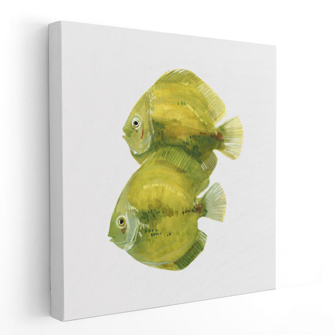 Discus Fish II - Canvas Print Wall Art