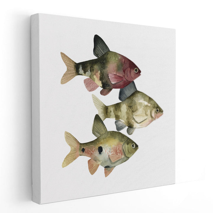 Rainbow Fish II - Canvas Print Wall Art