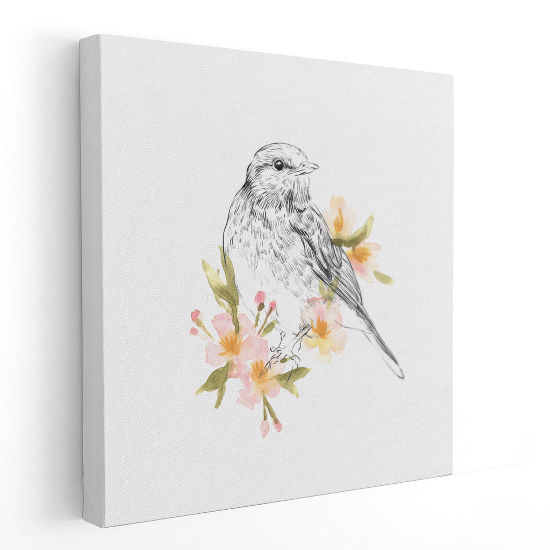 Robin Sketch I - Canvas Print Wall Art