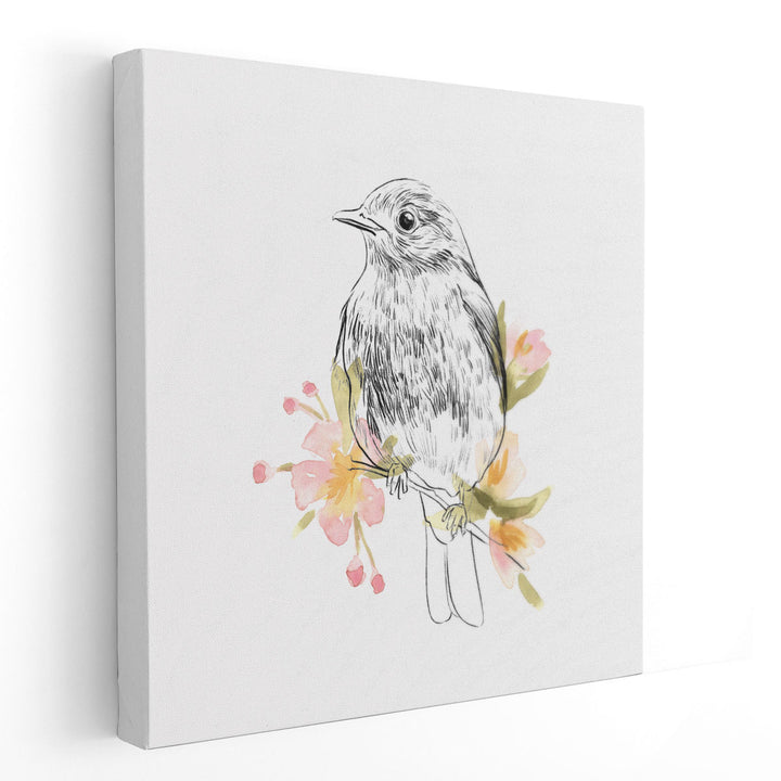 Robin Sketch II - Canvas Print Wall Art