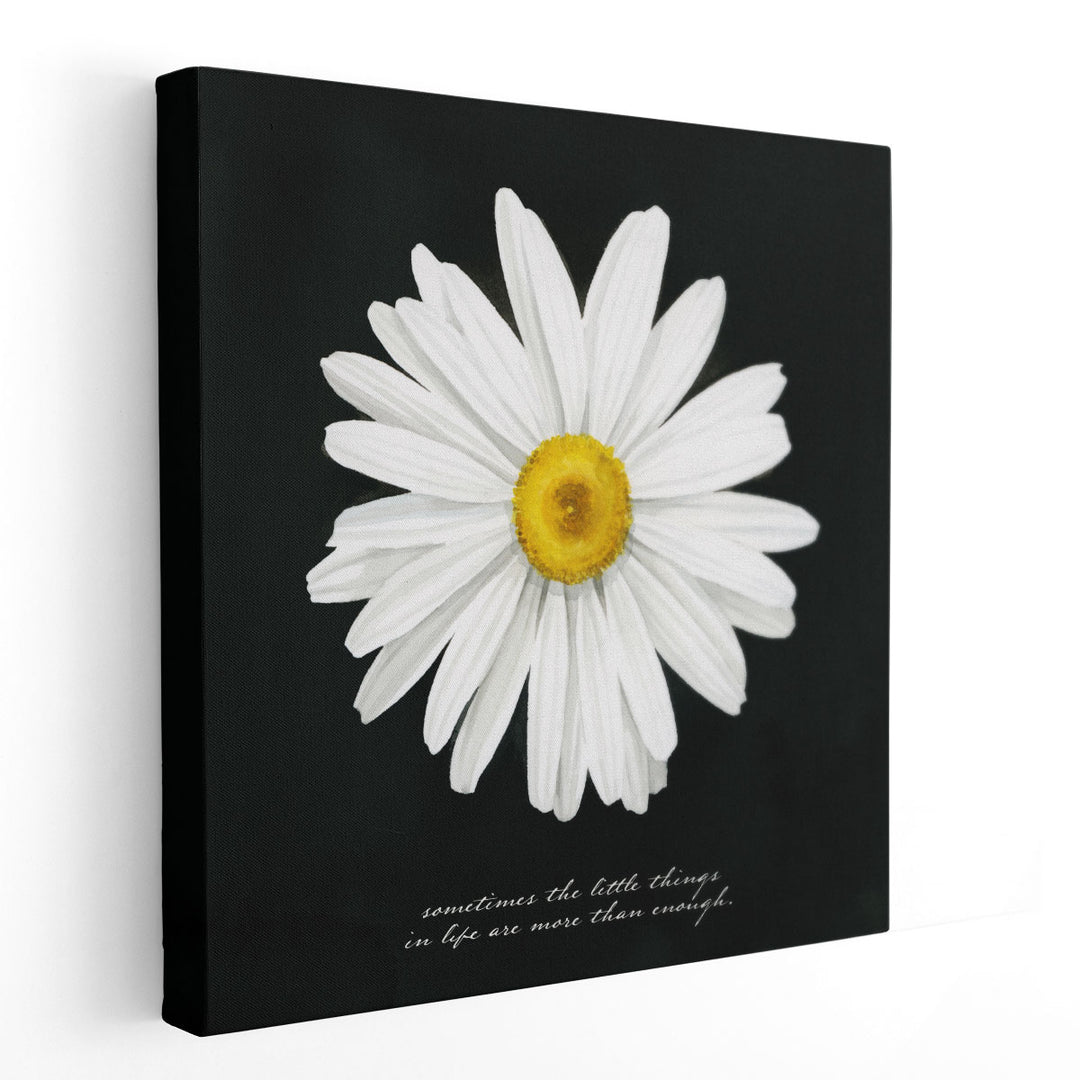 Delicate Daisy I Black And White - Canvas Print Wall Art