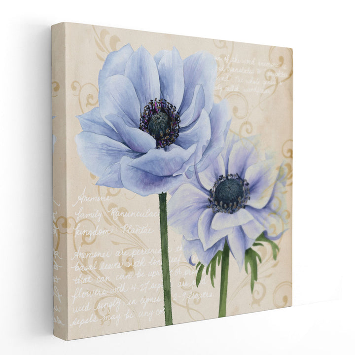 Elegant Anemone I - Canvas Print Wall Art