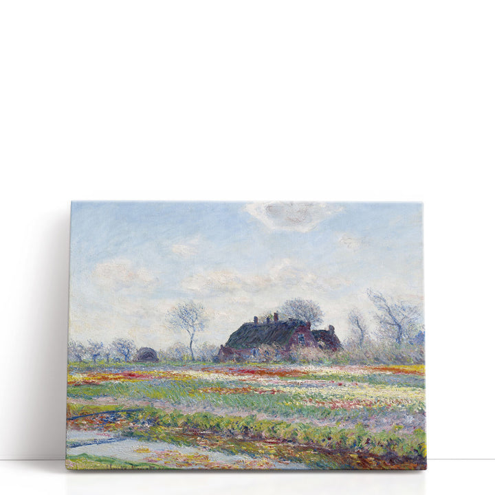Tulip Fields at Sassenheim, 1886 - Canvas Print Wall Art
