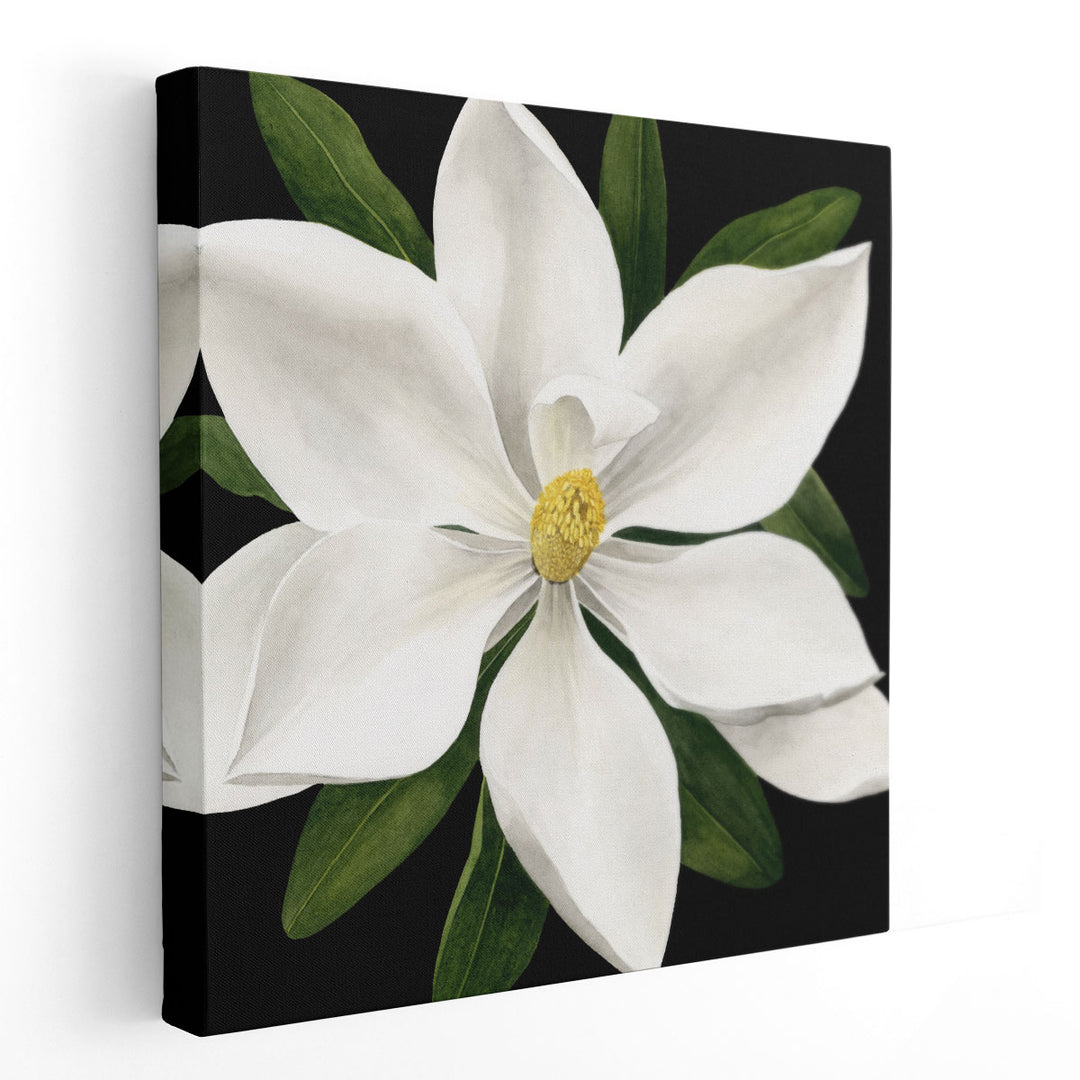 Midnight Magnolia I - Canvas Print Wall Art