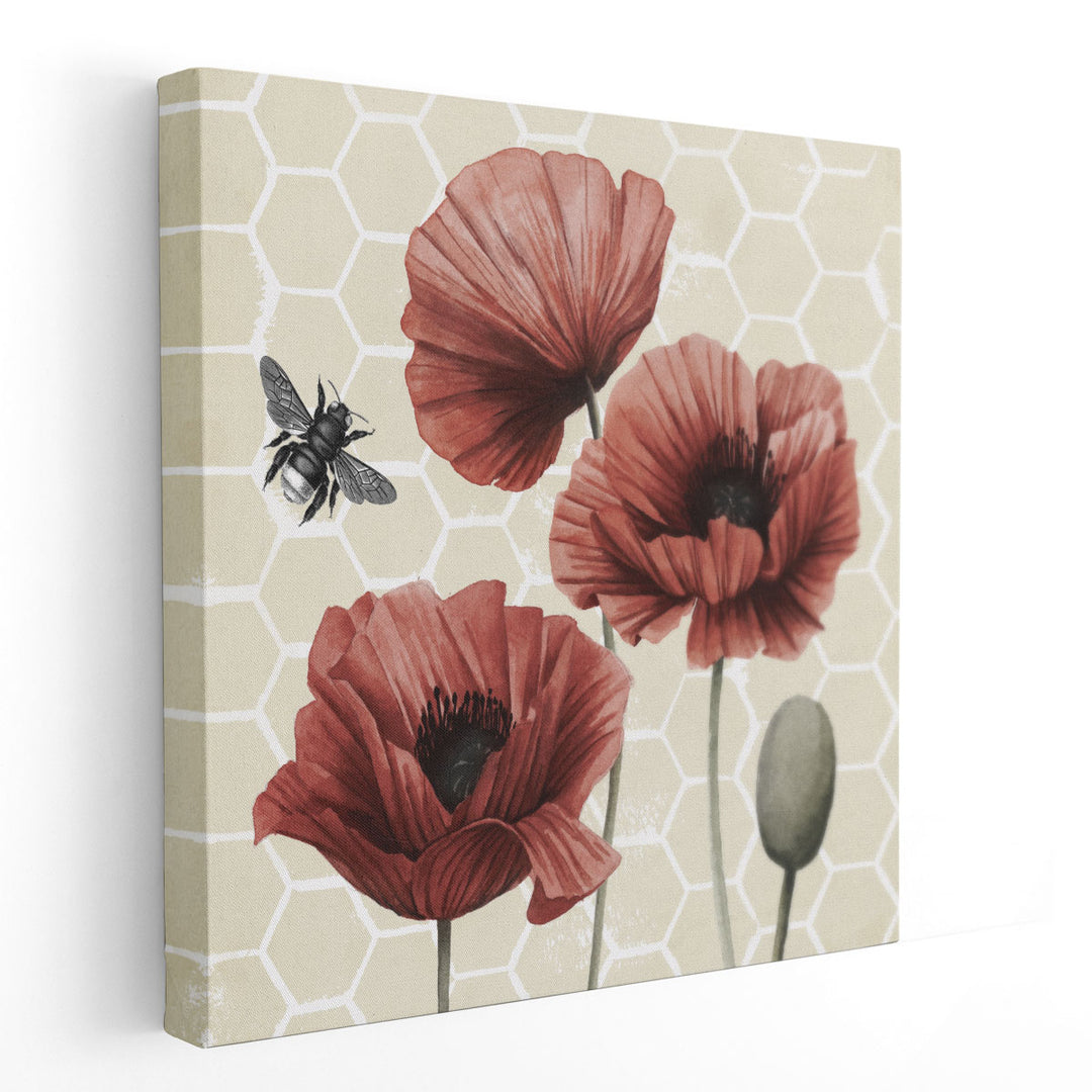 Poppy Buzz I - Canvas Print Wall Art