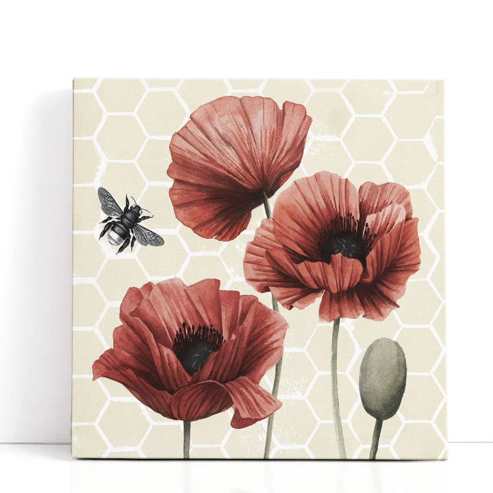Poppy Buzz I - Canvas Print Wall Art