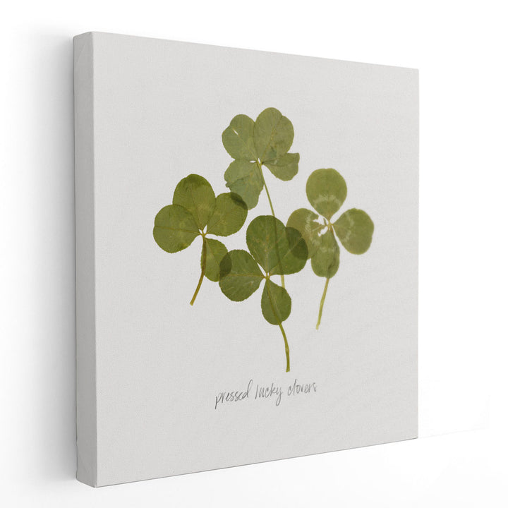 Pressed Clover I - Canvas Print Wall Art